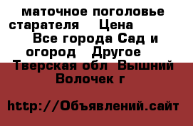 маточное поголовье старателя  › Цена ­ 3 700 - Все города Сад и огород » Другое   . Тверская обл.,Вышний Волочек г.